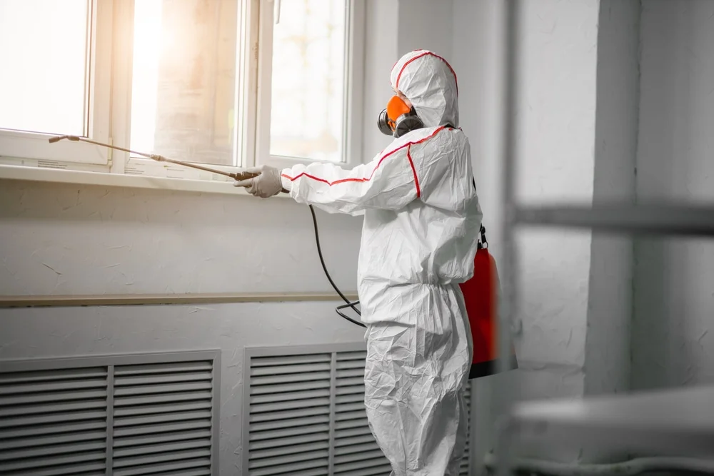 Professional mold remediation services in Parsippany, NJ
